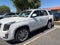 2019 Cadillac Escalade Platinum Edition