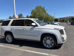 2019 Cadillac Escalade Platinum Edition