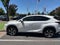 2020 Lexus NX 300h