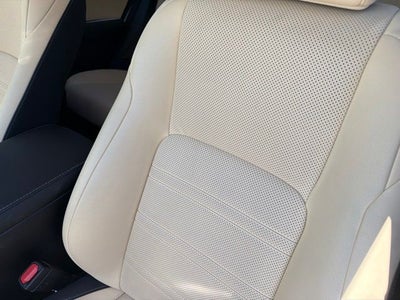 2020 Lexus NX 300h
